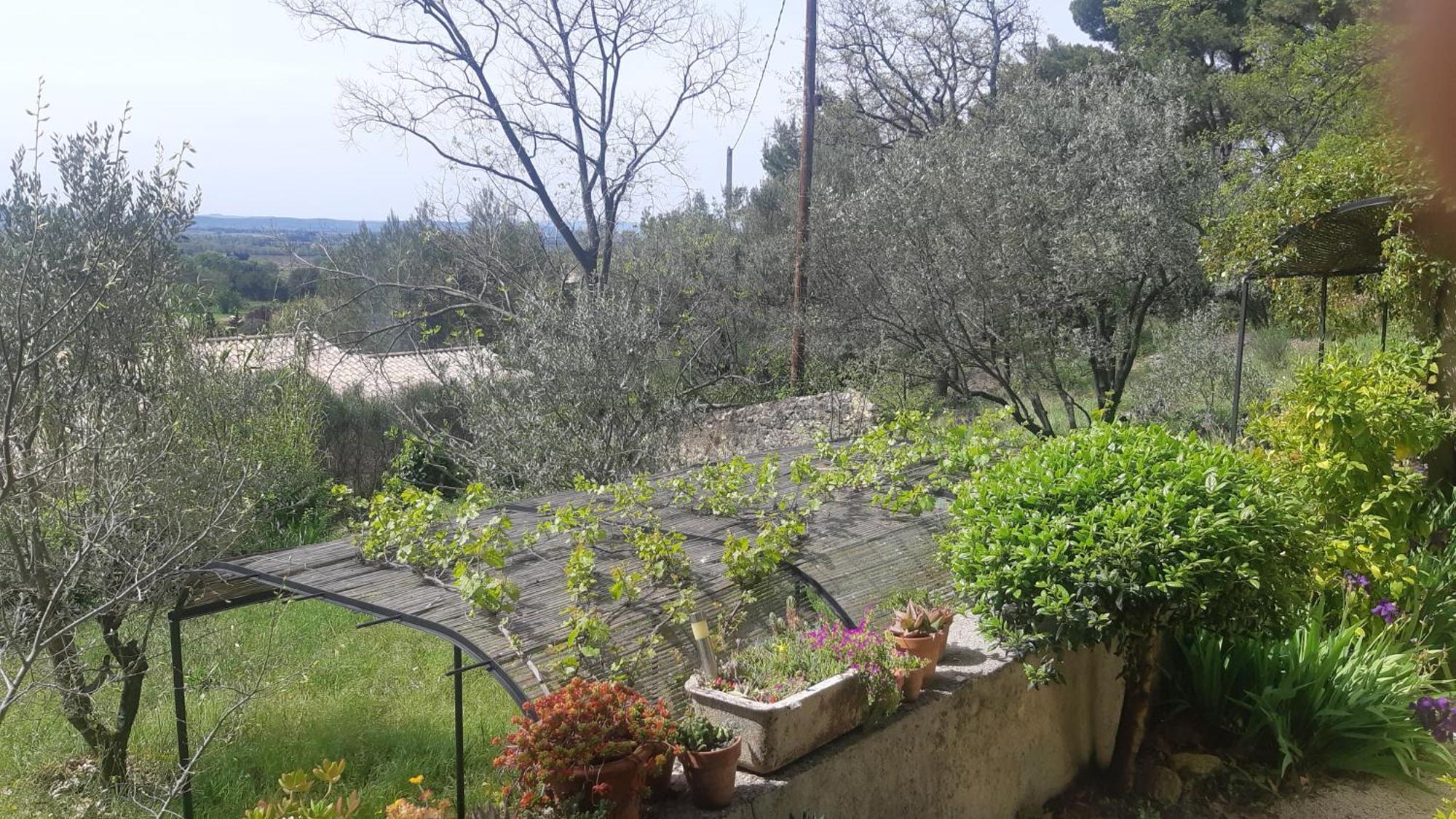 Villa Domaine Fontaine Visan Exterior foto